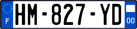 HM-827-YD