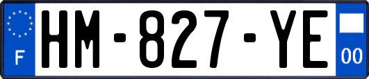 HM-827-YE