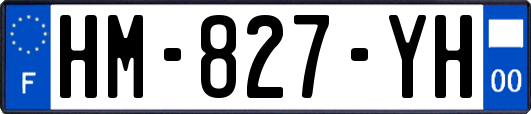 HM-827-YH