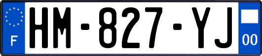 HM-827-YJ