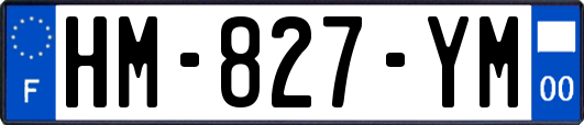 HM-827-YM