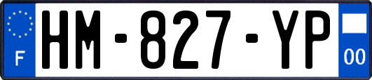 HM-827-YP