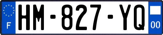 HM-827-YQ