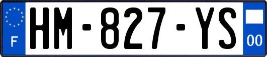 HM-827-YS