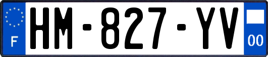 HM-827-YV
