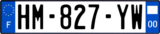 HM-827-YW