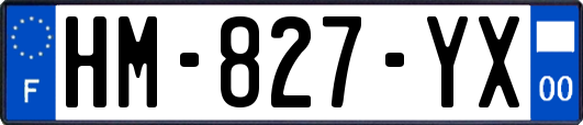 HM-827-YX