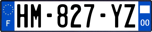 HM-827-YZ
