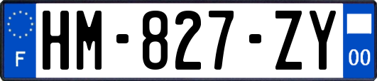 HM-827-ZY
