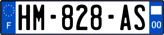 HM-828-AS