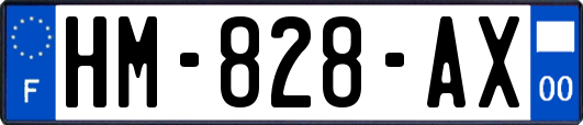 HM-828-AX