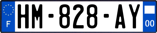 HM-828-AY