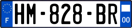 HM-828-BR
