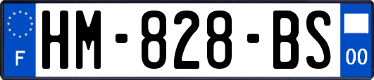 HM-828-BS