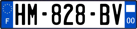 HM-828-BV