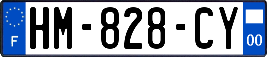 HM-828-CY