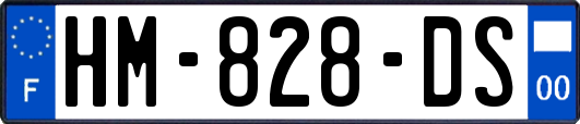 HM-828-DS