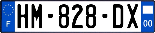HM-828-DX