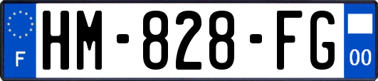HM-828-FG