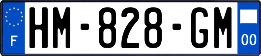 HM-828-GM