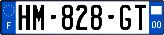 HM-828-GT