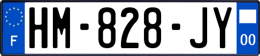HM-828-JY
