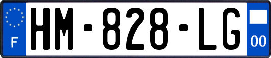 HM-828-LG