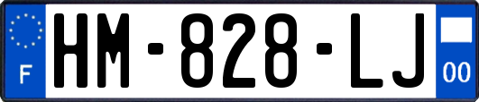 HM-828-LJ