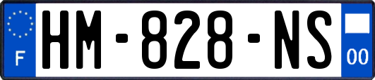 HM-828-NS