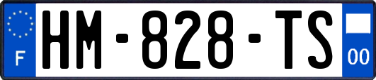 HM-828-TS