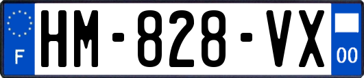 HM-828-VX
