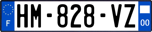 HM-828-VZ