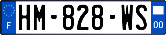 HM-828-WS