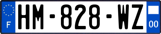 HM-828-WZ