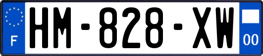 HM-828-XW