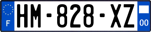 HM-828-XZ