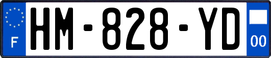 HM-828-YD