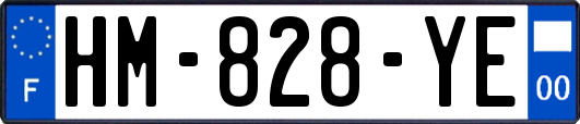 HM-828-YE