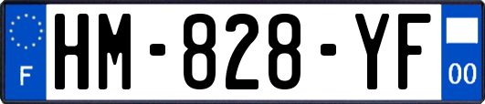 HM-828-YF
