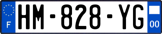 HM-828-YG