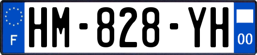 HM-828-YH