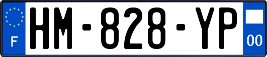 HM-828-YP