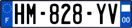 HM-828-YV