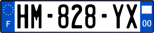 HM-828-YX