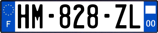 HM-828-ZL