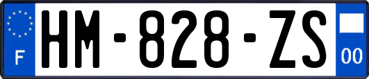 HM-828-ZS