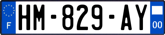 HM-829-AY