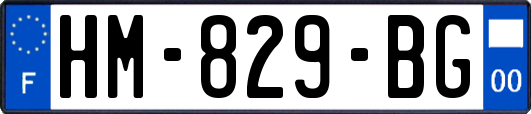 HM-829-BG
