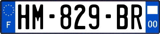 HM-829-BR