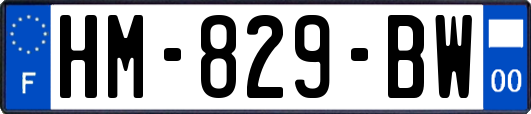 HM-829-BW